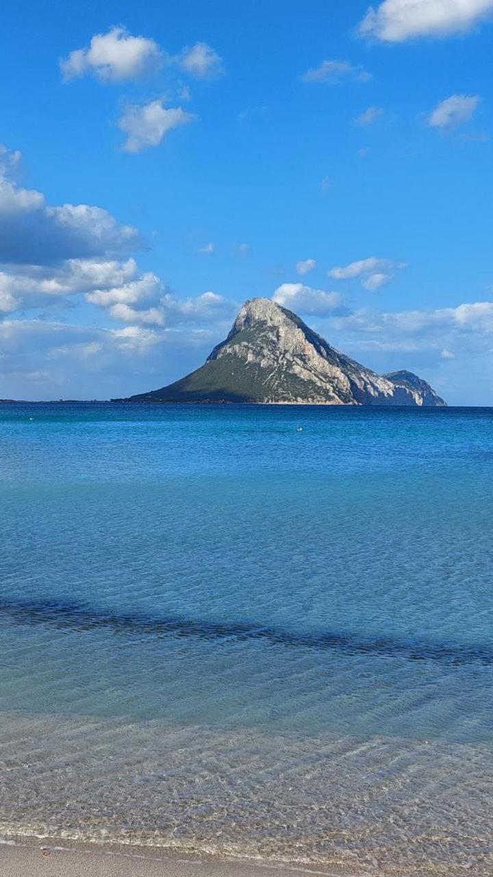 Willa Porto San Paolo A 50 Mt Dal Mare Pokój zdjęcie