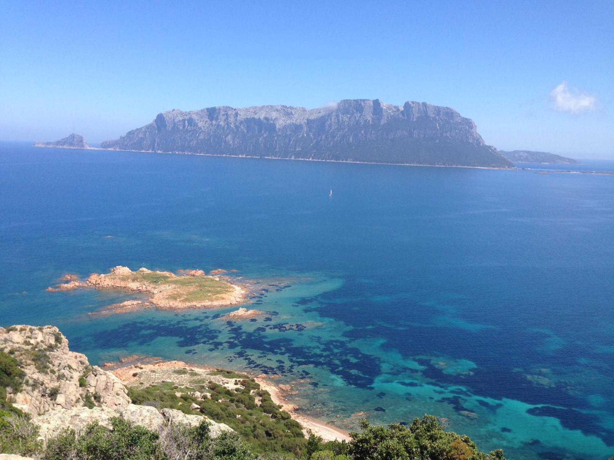 Willa Porto San Paolo A 50 Mt Dal Mare Pokój zdjęcie